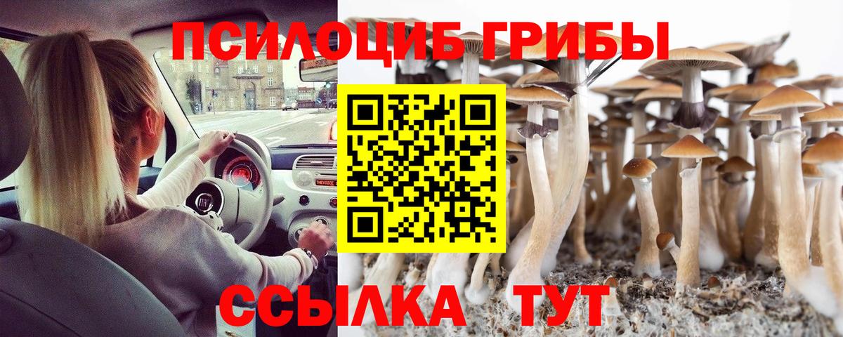 Псилоцибиновые грибы мухоморы Сертолово