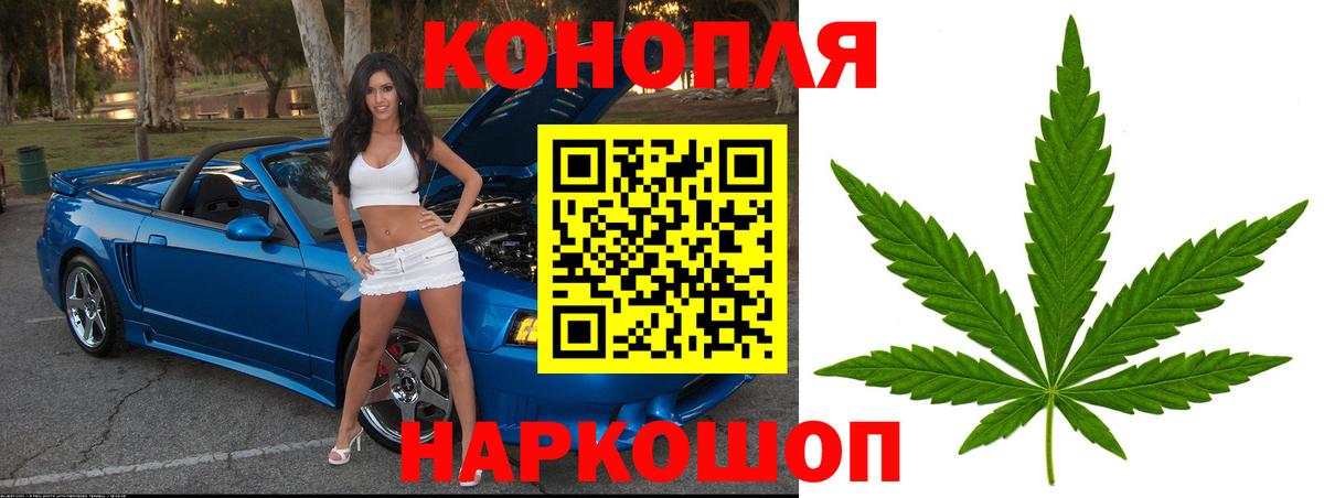 Каннабис планчик Сертолово